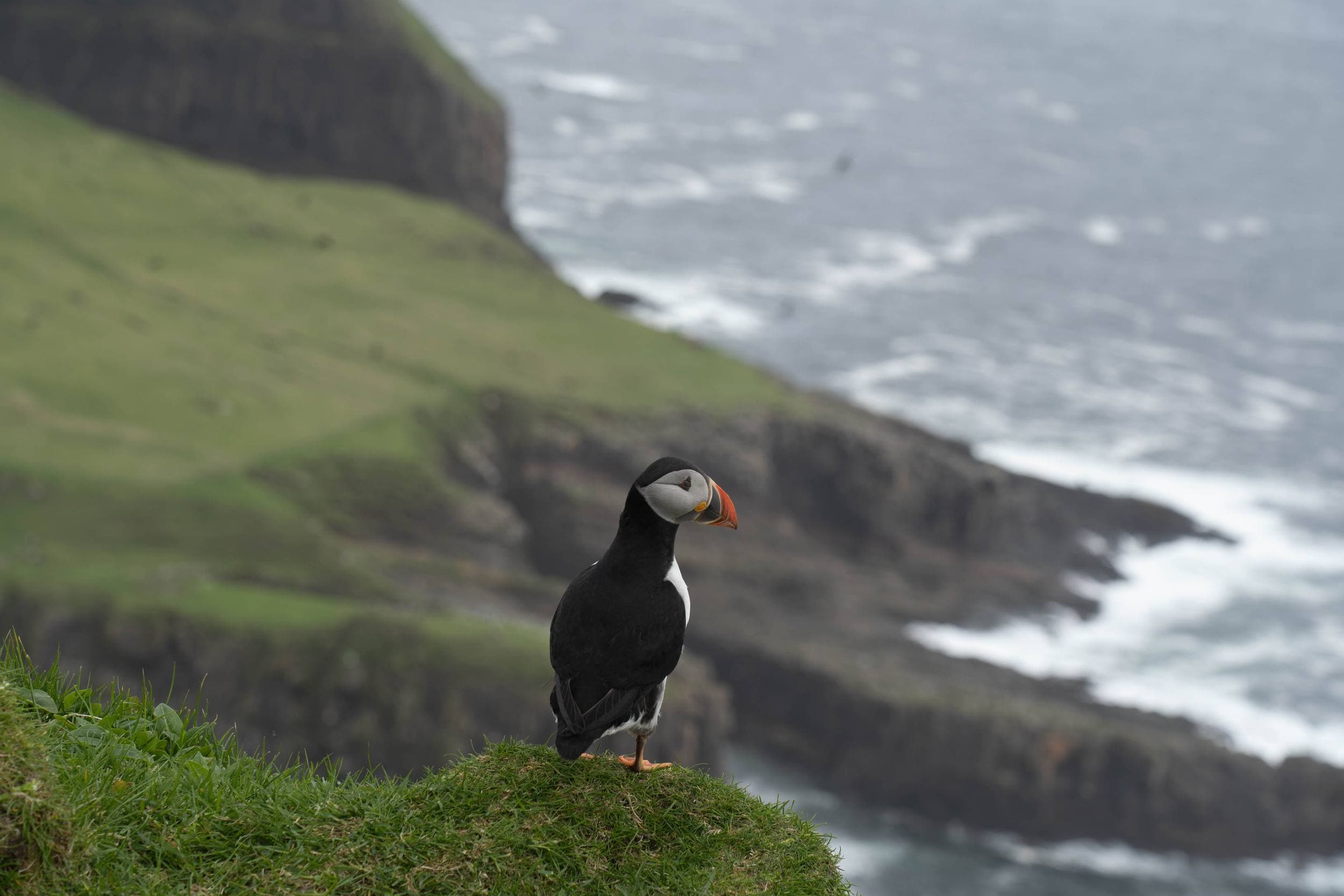Mykines, Îles Féroé