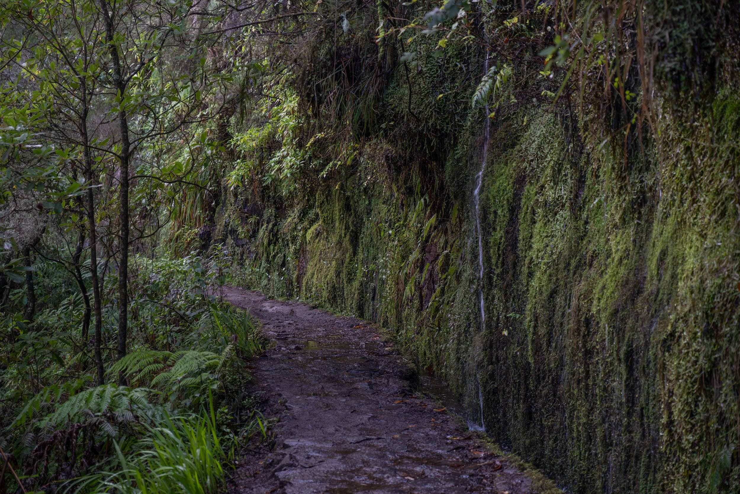 Caldeirão Verde & do Inferno