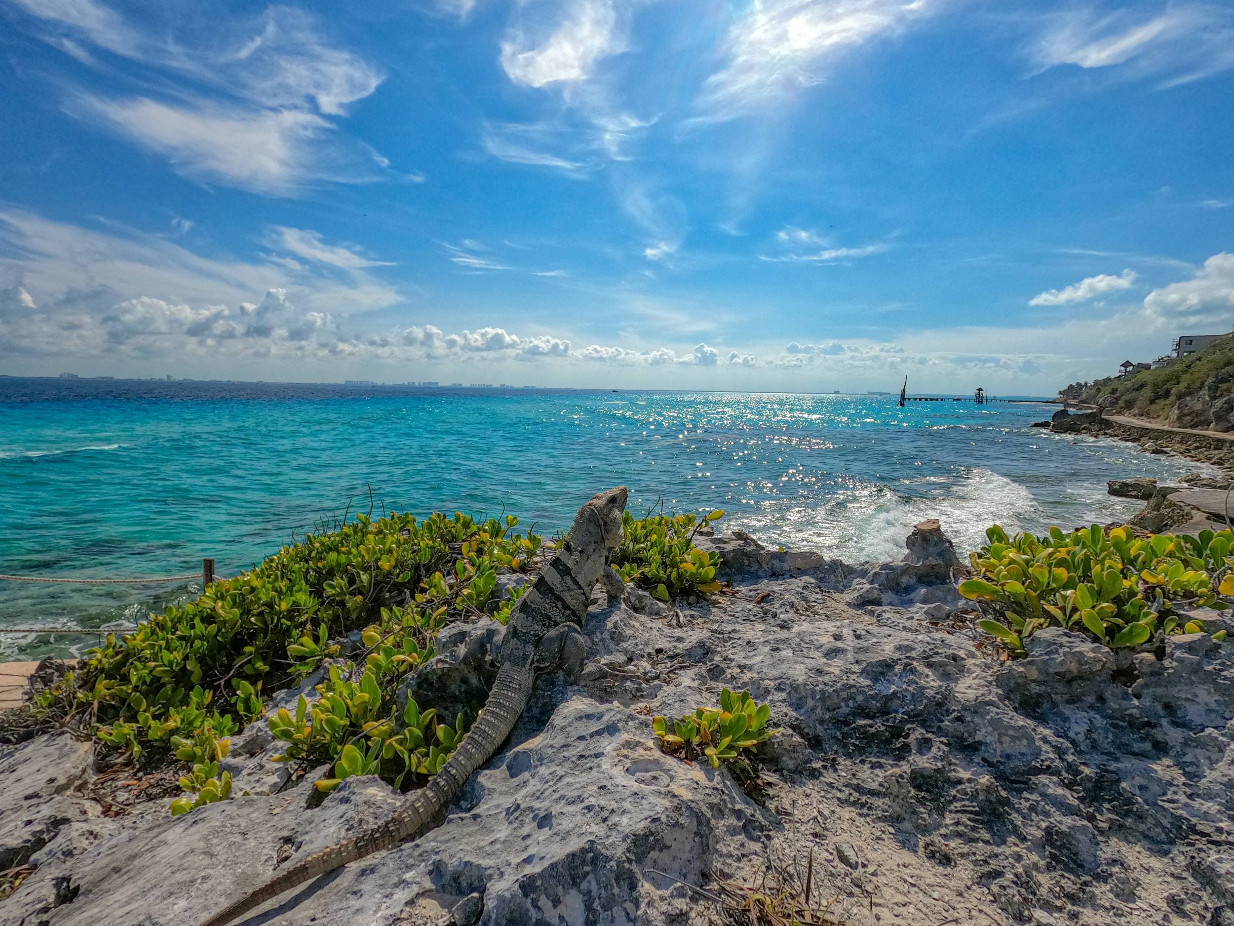 Mexique - Plages de rêve, cascades dans la jungle, cenotes et temples mayas